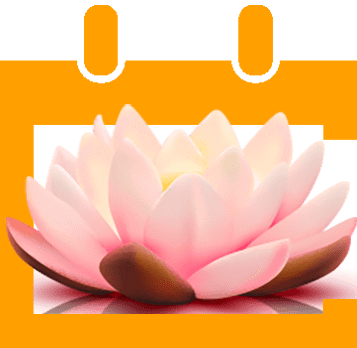 Spa salonu randevu uygulaması. Pembe lotus açıyor.